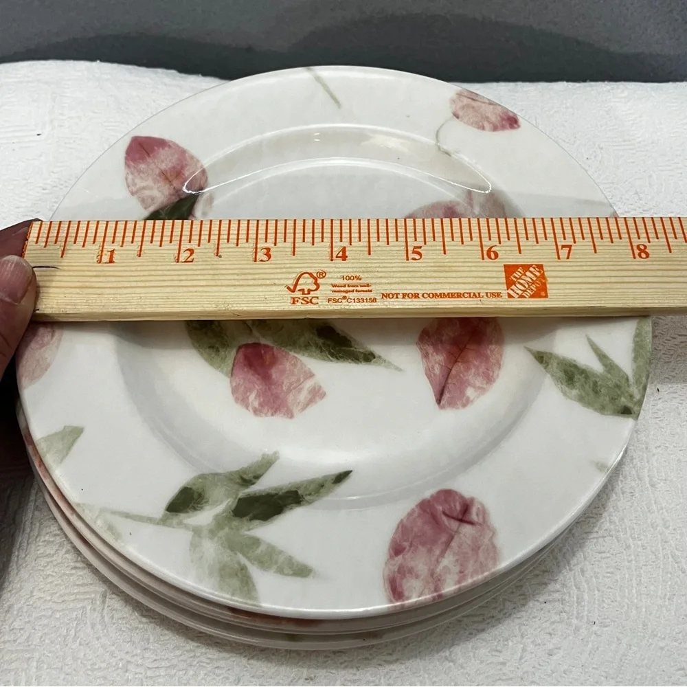 222 FIFTH Paper Rose Fine China Salad plates (2)